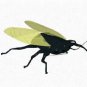 Chartreuse Cidada Fly Fishing Flies - Six Flies in Your Choice of Hook Size