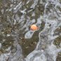 Loon BioStrike Hi-Vis PINK, Biodegradable, Reusable, Strike Indicator Putty