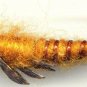 Kaufmann Stoneflies - Twelve Fly Fishing Flies - Your Choice Hook Size & Color