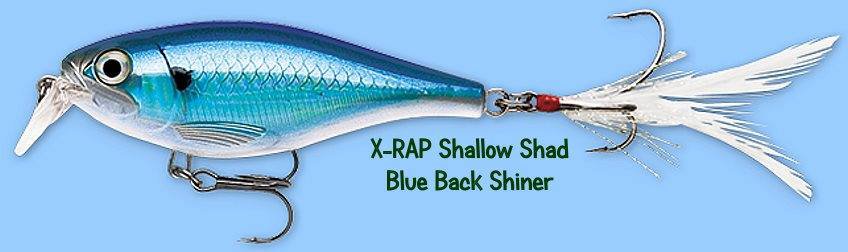 Rapala X-RAP Blue Back Shiner (XRSHSS08 BBS) Shallow Shad Lure w/ SureSet Hook