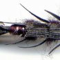 Twelve Assorted Black and Golden Double Bead Stonefly Fly Fishing Flies