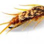 Twelve Assorted Black and Golden Double Bead Stonefly Fly Fishing Flies