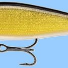 Rapala GOLD Flat Rap (FLR06 G) 2-1/2" NEW Balsa Fishing Lure