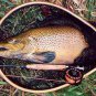 Furled 22 Lb Fluorocarbon/Dyneema Saltwater Leader