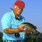 Clouser Black Minnow Six Fly Fishing Flies in Hook Size 2/0