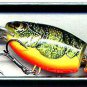 Rapala Jointed, Rattling, Suspending Fire Crawdad Shad Rap (JSR05 FCW)