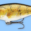Rapala Walleye Balsa Natural Shad Rap Baitfish Fishing Lure (SR09 W)