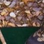 Pro Line 3mm Neoprene 25" x 40" Wader Change Mat