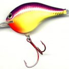 Rapala Chart Purple Shiner Lure Dives 10' RED VMC Hooks