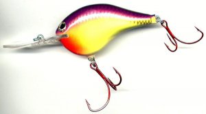 Rapala Chart Purple Shiner Lure Dives 10' RED VMC Hooks