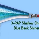 Rapala X-RAP Blue Back Shiner (XRSHSS06 BBS) Shallow Shad Lure w/ SureSet Hook