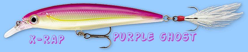 Rapala X-RAP Purple Ghost (XR12 PGH) Suspending/Rattling Slashbait Lure