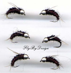 Northfork Special Nymph - Twelve Deadly NEW Fly Fishing Flies