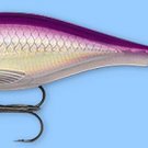 Rapala X-RAP Shad Purple Albino (XRSSS08 PA) NEW Fishing Lure with SureSet Hook