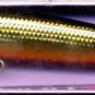 NEW Rapala GOLD/Orange Husky Jerk Rattling, Suspending (HJ08 G) Fishing Lure