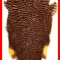 NEW Grizzly Soft Hackle Feathers for Tying Flies