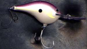 Rapala DTSS14 Regal Shad Lure Dives 14 Ft SureSet Hooks