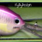 Rapala DTSS14 Regal Shad Lure Dives 14 Ft SureSet Hooks
