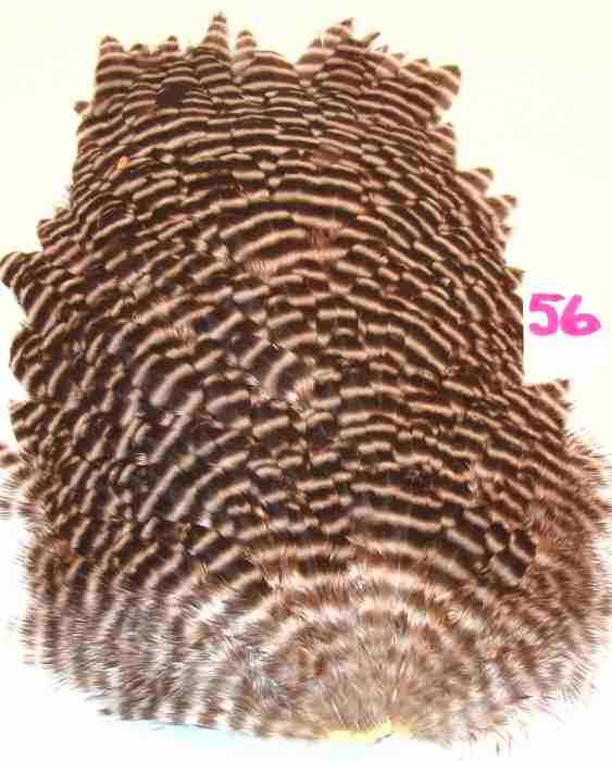 NEW Grizzly Soft Hackle Feathers
