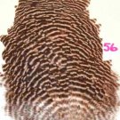 NEW Grizzly Soft Hackle Feathers