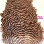NEW Grizzly Soft Hackle Feathers