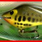 Vintage POE'S SUPER CEDAR Chartreuse Baby Bass 334 Lure