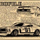 1970 Trans-Am Mustang Racer