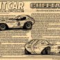 Cheetah Road Racer - Chevy-Powered Cobra Stalker