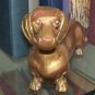 Daschund  dog