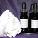 Infinity of Wellness Anointing Oil