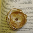 Gold and Cream Flower