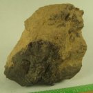 Dhofar 290 L5/6 Meteorite Individual/Main Mass 275g