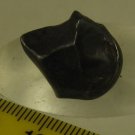Sikhote-Alin Iron Oriented Meteorite Heat Shield 12.5g