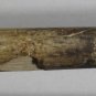 2007 ERIC HINSKE Game Used LS Bat, Steiner/MLB