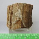 Arizona Petrified Wood Mineral Specimen 127 grams