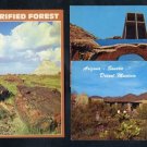Vintage Arizona Photo Postcard Lot; Desert Museum+
