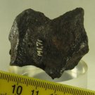 Deport, Texas IAB Iron Meteorite Individual - 257g