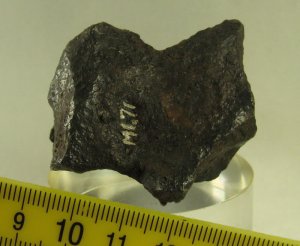Deport, Texas IAB Iron Meteorite Individual - 257g
