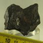 Deport, Texas IAB Iron Meteorite Individual - 257g