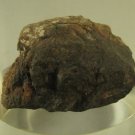 Ghubara L5 Xenolithic Meteorite Individual - 46.1 Grams
