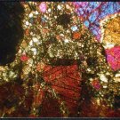 Bilanga Diogenite Meteorite Thin Section Postcard