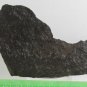 NWA 106 L4, S2, W2 Meteorite Cut Fragment - 320 grams
