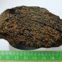 Muong Nong Layed Tektite 340g. - Nice layering!