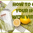 Vinegar For Cleaning eBook on CD Printable