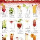 371 COCKTAIL Recipes eBook on CD Printable