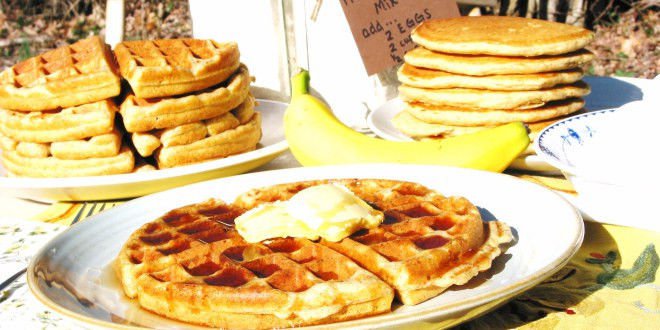 Biscuits Pancakes and Waffles Recipes eBook on CD Printable
