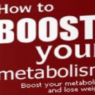 Boost Your Metabolism - Burn Fat and Lose Weight eBook on CD Printable