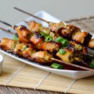 Japanese Grilling Recipes eBook on CD Printable