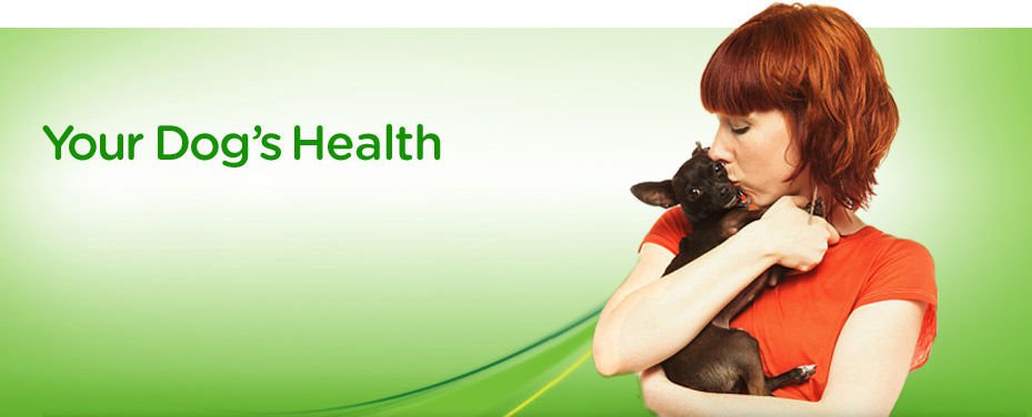 Dog Care Health Collection 40 eBooks on CD Printable