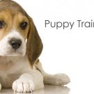 Puppy Training The Natural Way eBook on CD Printable